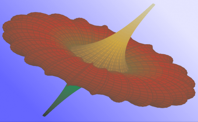 Flower's bloom plotted in 3d